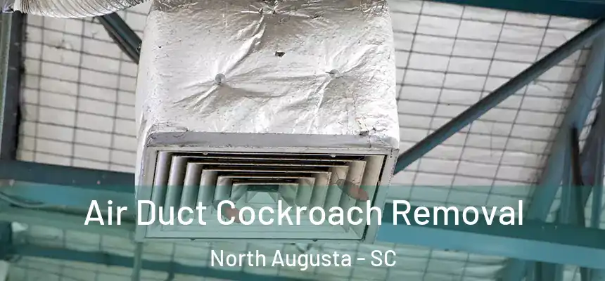  Air Duct Cockroach Removal North Augusta - SC