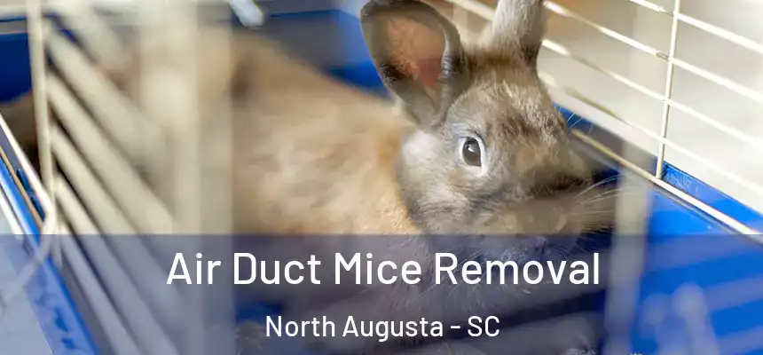  Air Duct Mice Removal North Augusta - SC