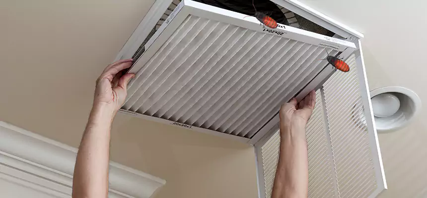 Preventive Cockroach-Proofing for Ducts in North Augusta