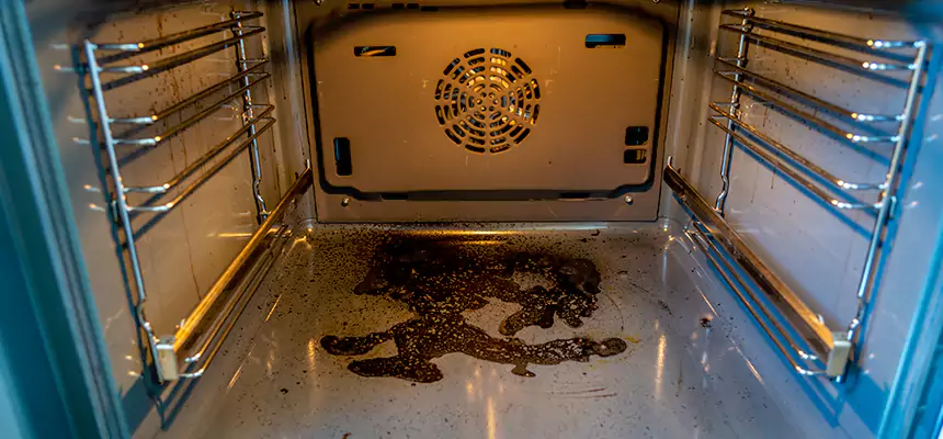 Our Dryer Vent Mold Cleaning Services in North Augusta, SC