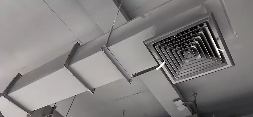 Our Pest Removal From Ducts Services in North Augusta, SC