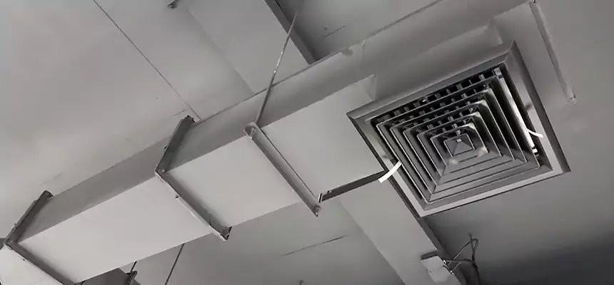 Our Rodent Droppings In Vents Services in North Augusta, SC