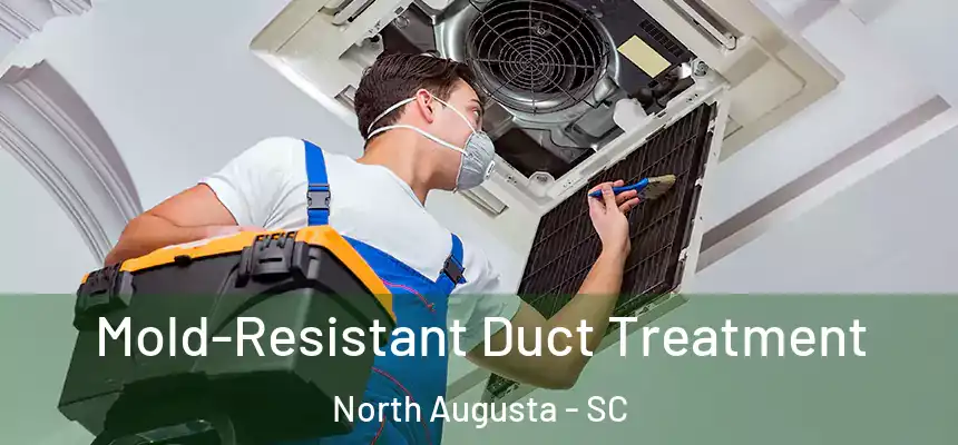  Mold-Resistant Duct Treatment North Augusta - SC