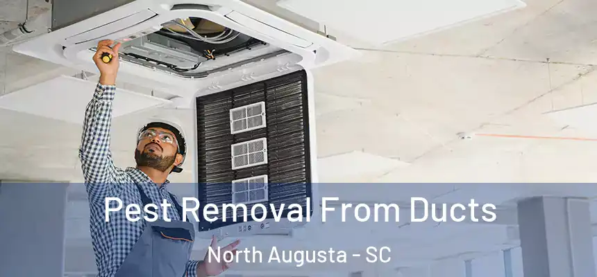  Pest Removal From Ducts North Augusta - SC