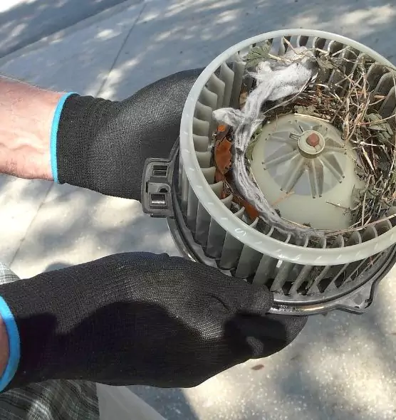 About Air Duct Mice Removal in North Augusta, SC