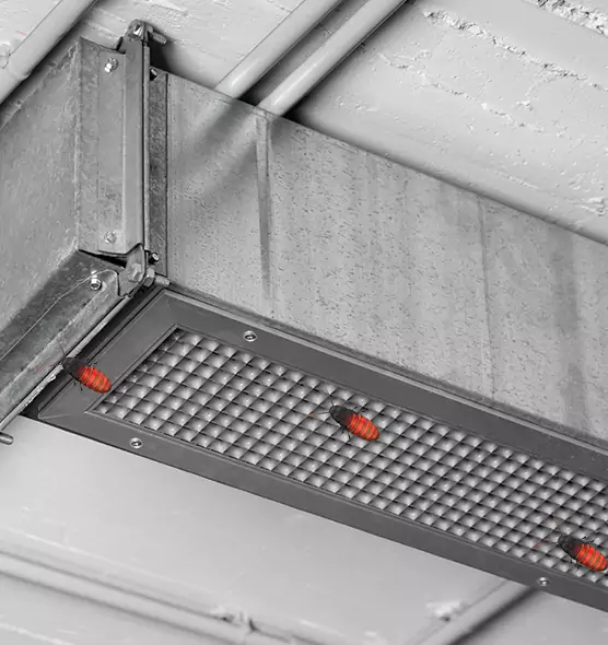 Affordable Insect Removal from Air Ducts in North Augusta, SC