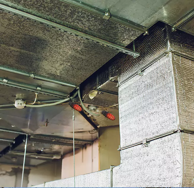 Why Homeowners & Businesses Trust Us in North Augusta, SC?